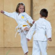 MINI KIDS Karate HOFSTEIG Spiel Sport Spaß Karate mach klug Karate lernen