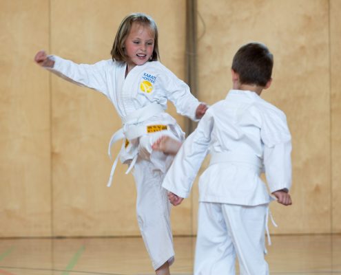 MINI KIDS Karate HOFSTEIG Spiel Sport Spaß Karate mach klug Karate lernen