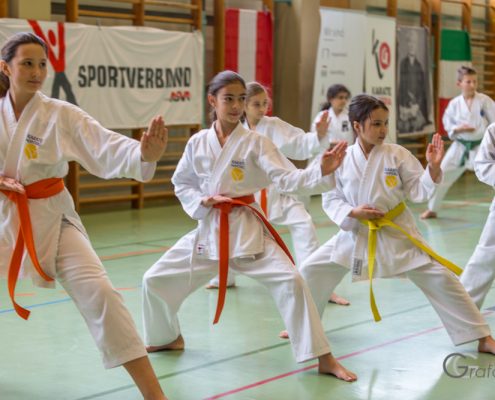 KARATE HOFSTEIG Karate Lehrgang Silvio Campari 2018 Lauterach
