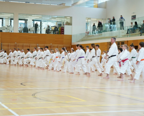 Karate Austria Tag 2025