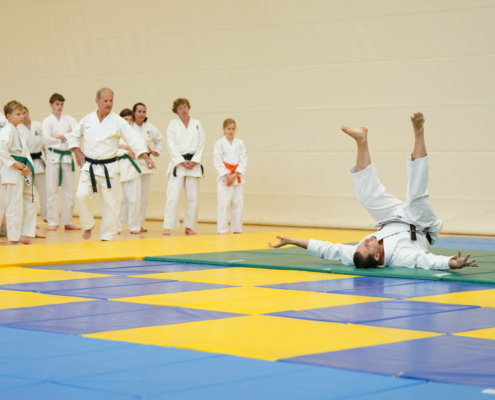 Karate Austria Tag 2025