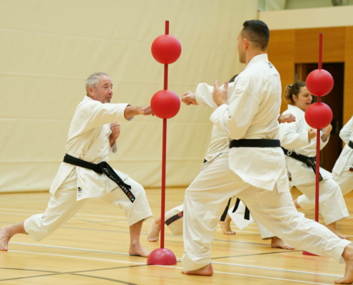 Karate Austria Tag 2025