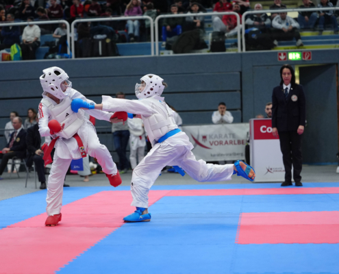 Austrian Karate Championscup Hard am Bodensee KARATE HOFSTEIG Karate Vorarlberg