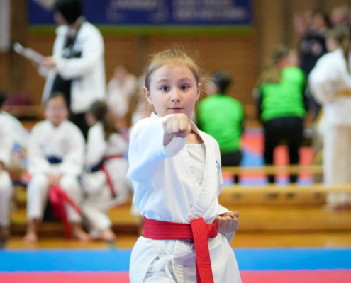 260228_KH Lions Cup Lustenau Februar 2026-1 Lions Cup 2026 in Lustenau KARATE HOFSTEIG Karate Vorarlberg