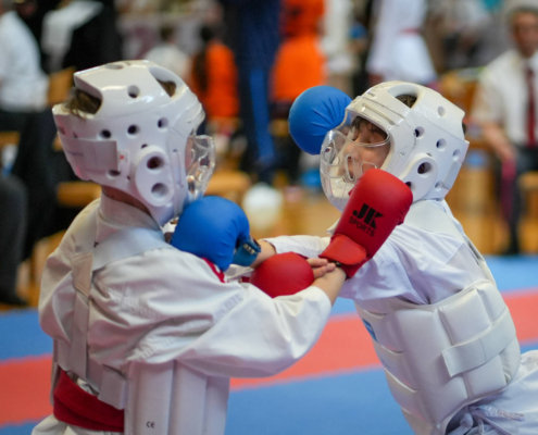 260228_KH Lions Cup Lustenau Februar 2026-36 Lions Cup 2026 in Lustenau KARATE HOFSTEIG Karate Vorarlberg