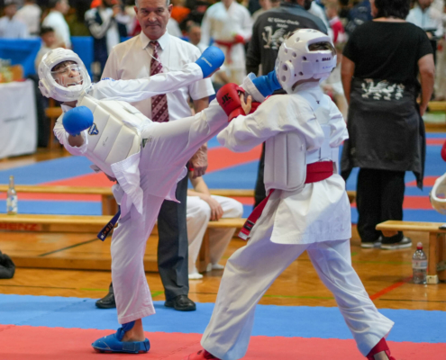 260228_KH Lions Cup Lustenau Februar 2026-37 Lions Cup 2026 in Lustenau KARATE HOFSTEIG Karate Vorarlberg