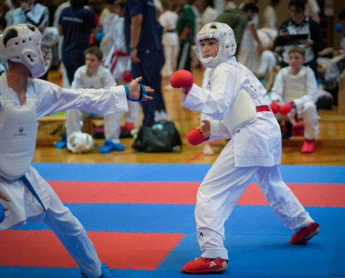 260228_KH Lions Cup Lustenau Februar 2026-44 Lions Cup 2026 in Lustenau KARATE HOFSTEIG Karate Vorarlberg