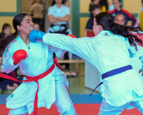 Wettkampfszene von Karate Hofsteig bei der Landesmeisterschaft 2026 in Lauterach mit hoher Intensität und starken Leistungen im Kata und Kumite
