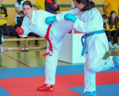 Intensive Kumite und Kata Wettkämpfe von Karate Hofsteig bei der Landesmeisterschaft 2026 in Lauterach mit schnellen Angriffen und präzisen Bewegungen