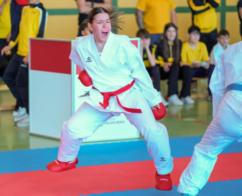 Intensive Kumite und Kata Wettkämpfe von Karate Hofsteig bei der Landesmeisterschaft 2026 in Lauterach mit schnellen Angriffen und präzisen Bewegungen