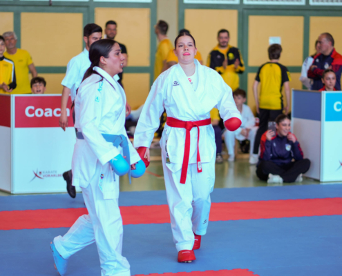 Intensive Kumite und Kata Wettkämpfe von Karate Hofsteig bei der Landesmeisterschaft 2026 in Lauterach mit schnellen Angriffen und präzisen Bewegungen