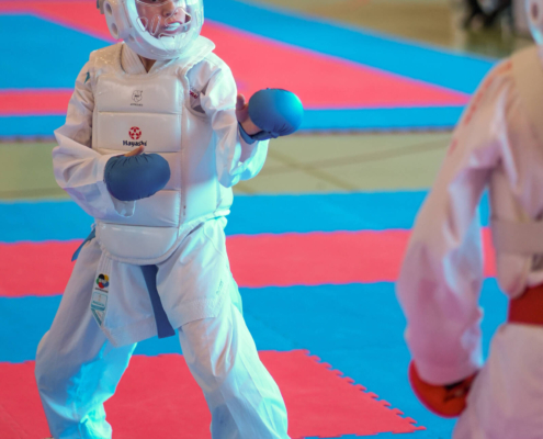 Intensive Kumite und Kata Wettkämpfe von Karate Hofsteig bei der Landesmeisterschaft 2026 in Lauterach mit schnellen Angriffen und präzisen Bewegungen