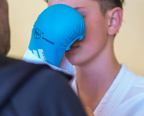 Intensive Kumite und Kata Wettkämpfe von Karate Hofsteig bei der Landesmeisterschaft 2026 in Lauterach mit schnellen Angriffen und präzisen Bewegungen