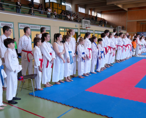 Engagierte Helferinnen und Helfer von Karate Hofsteig unterstützen die Durchführung der Landesmeisterschaft 2026 in Lauterach mit Einsatz und Teamgeist