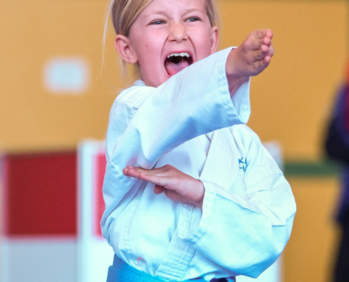 Karate Hofsteig im Wettkampf bei der Landesmeisterschaft 2026 in Lauterach mit Fokus auf Distanz, Timing und präzise Technikausführung