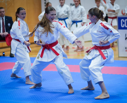 2026-10-24_KV Österreichische Meisterschaft Wolfsberg Oktober 2026-16 Erfolgreiche Nachwuchssportlerinnen und Nachwuchssportler von KARATE HOFSTEIG bei den Österreichischen Karate Meisterschaften 2026 in Wolfsberg.